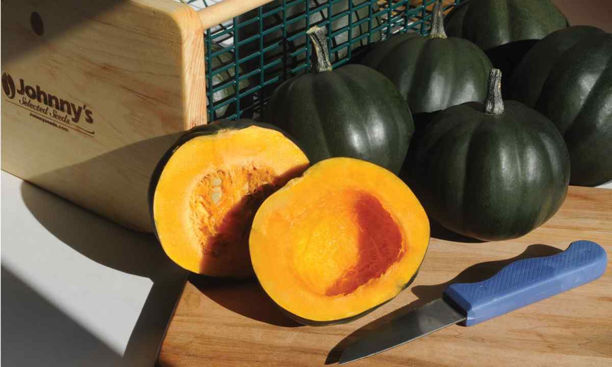 How to keep squash in the winter fresh