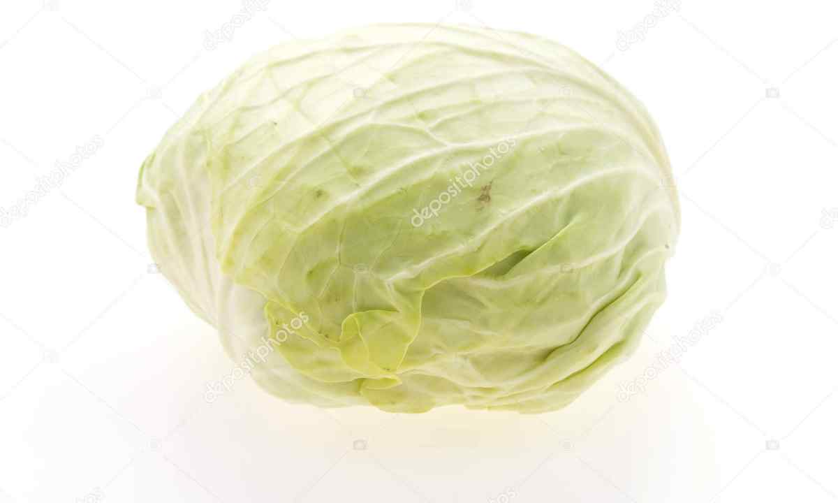 As it is correct to store fresh white cabbage
