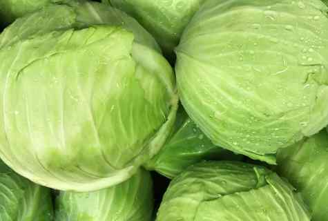 How to store cabbage