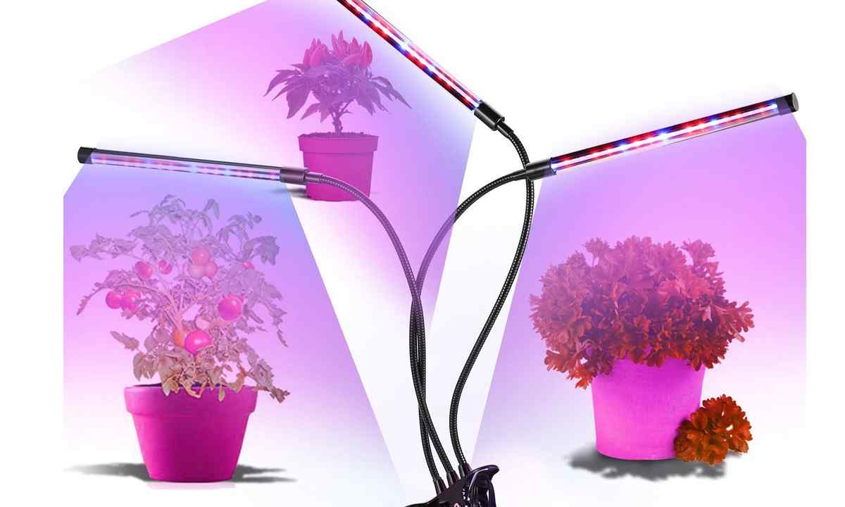 What advantages at LED lamps to plants