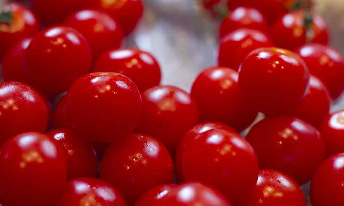 How to grow up grade cherry tomatoes "Red cherry"