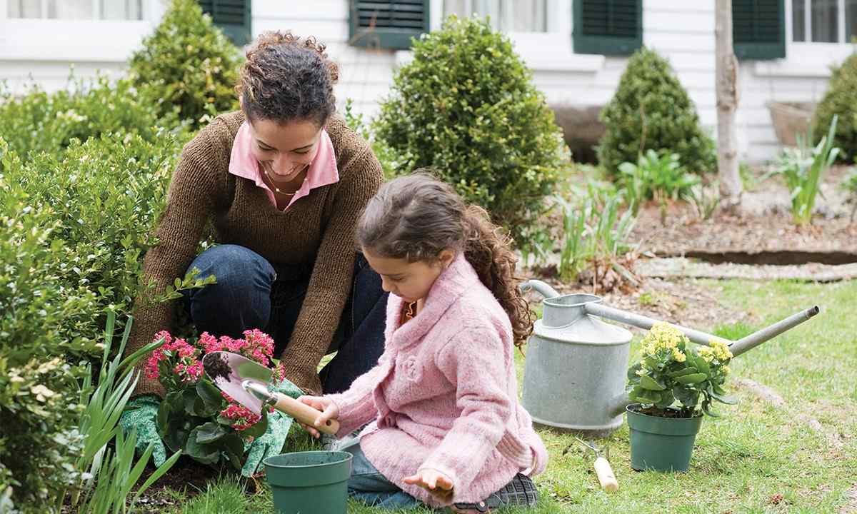 What the beginning gardener needs to know