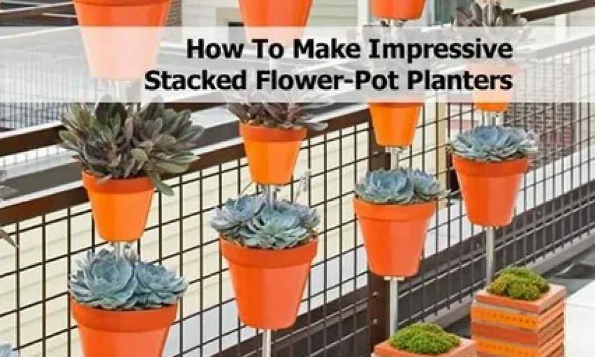 How to choose pot for flower