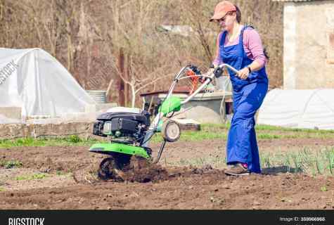 How to cultivate the land in the spring