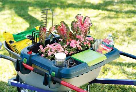 How to make garden wheelbarrow