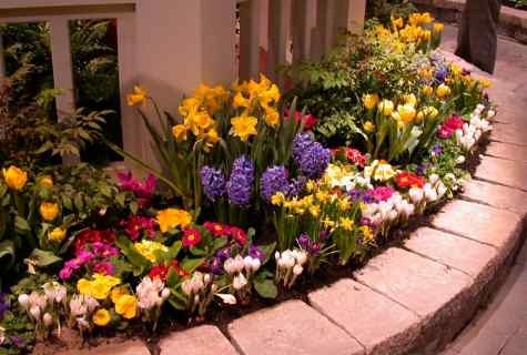How to decorate garden with flowers