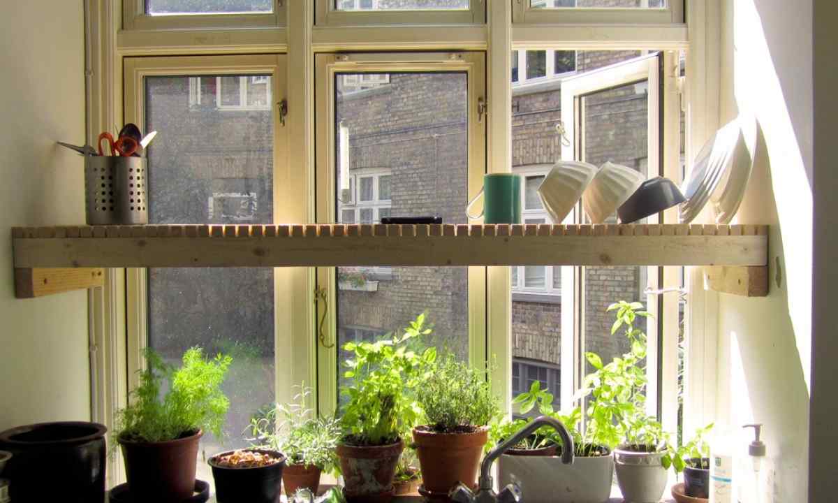 How to decorate garden, kitchen garden