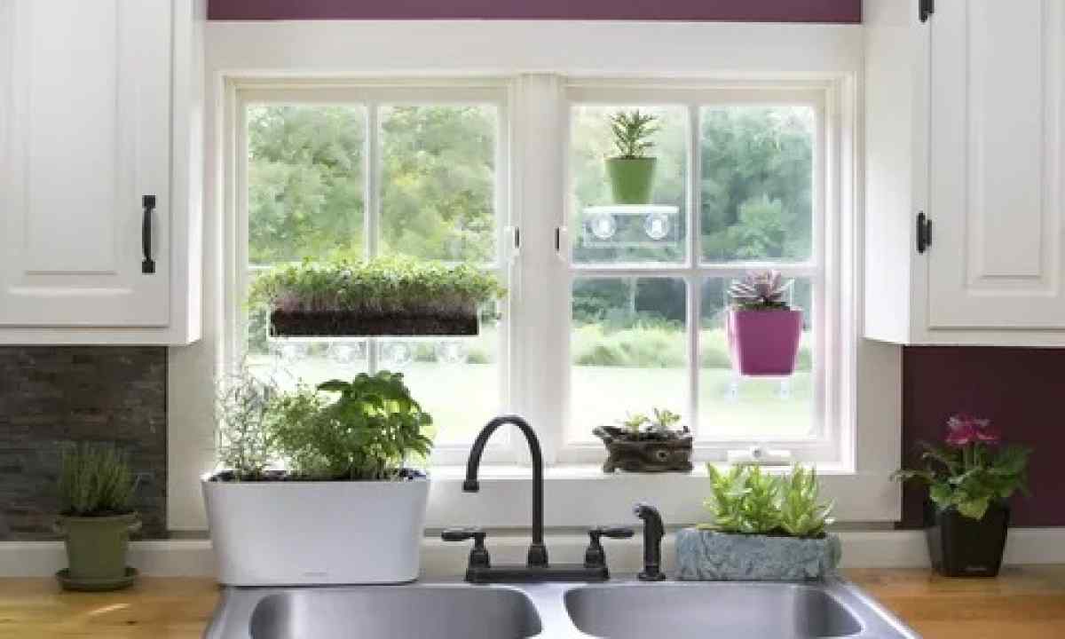 How to issue kitchen garden at window