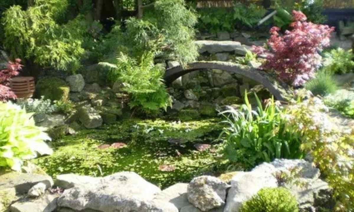 Landscaping: types of rock gardens
