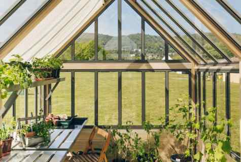 How to pave the way in the greenhouse