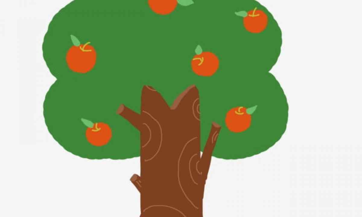 How to save apple-tree