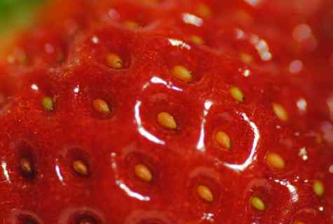 As it is correct to choose strawberry seeds