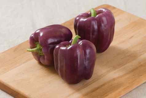 How to grow up sweet pepper