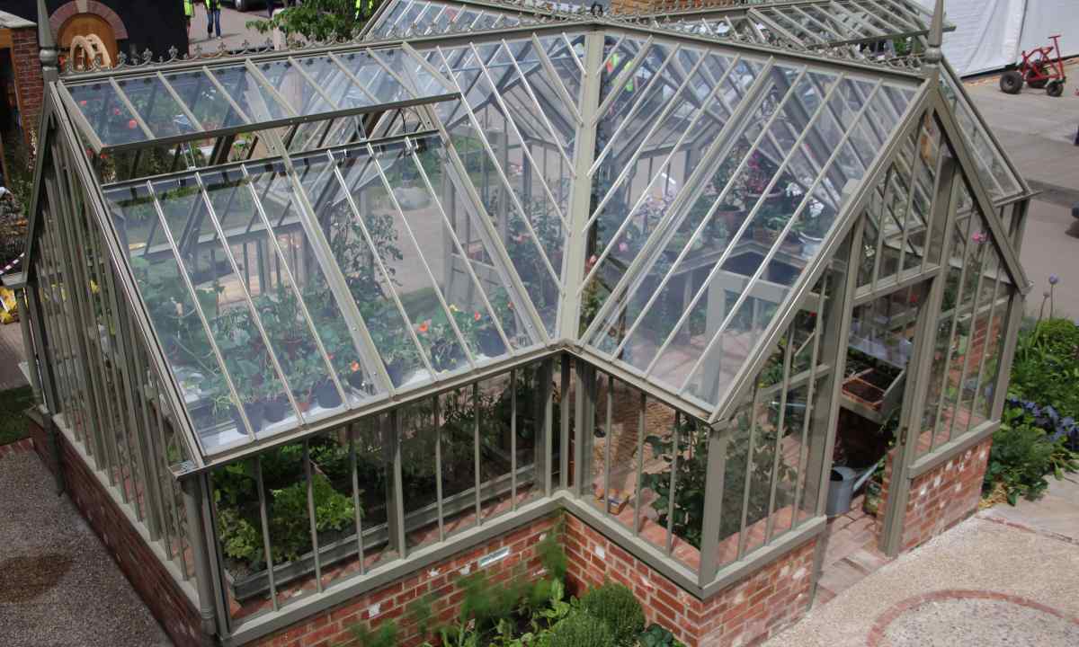 Hotbeds and greenhouses: what's the difference?