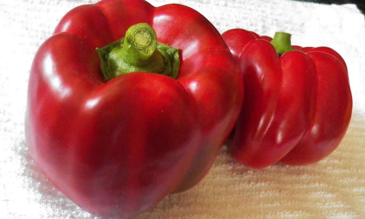 In what feature of cultivation of sweet pepper