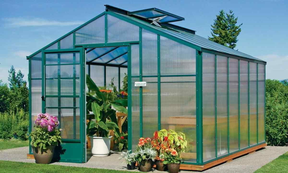 What is the thermodrive for greenhouses: as automatic airing of the greenhouse works