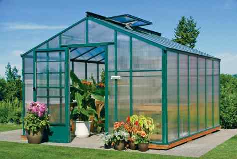 What is the thermodrive for greenhouses: as automatic airing of the greenhouse works