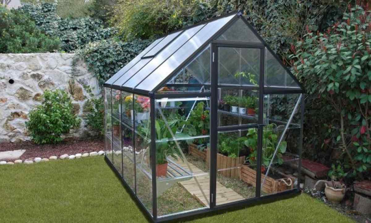 How to collect the greenhouse from polycarbonate