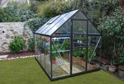 How to collect the greenhouse from polycarbonate