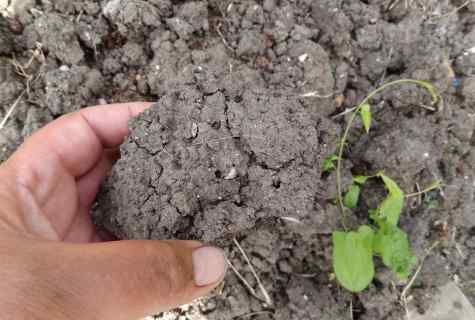 How to deoxidate the soil