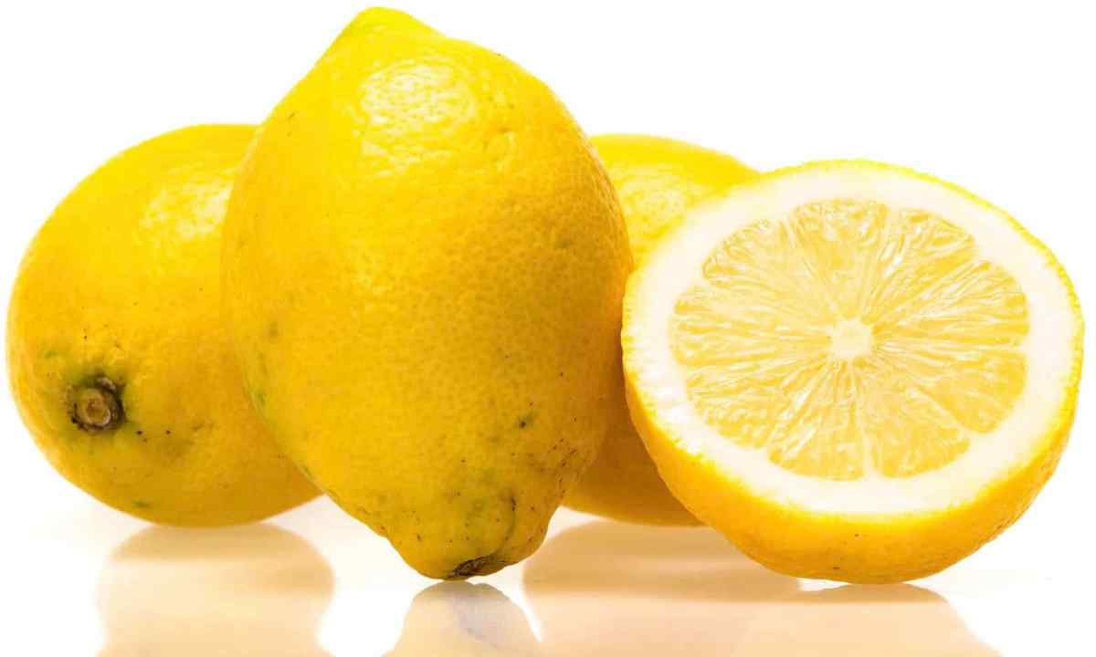 How to pollinate lemon