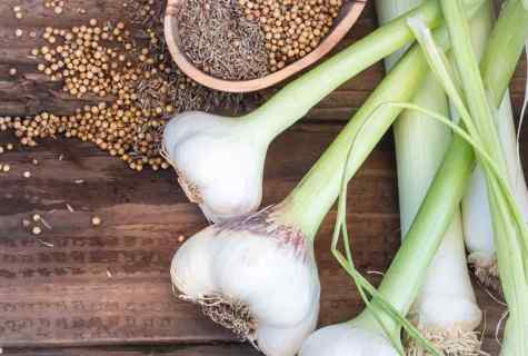 How to plant garlic in the spring