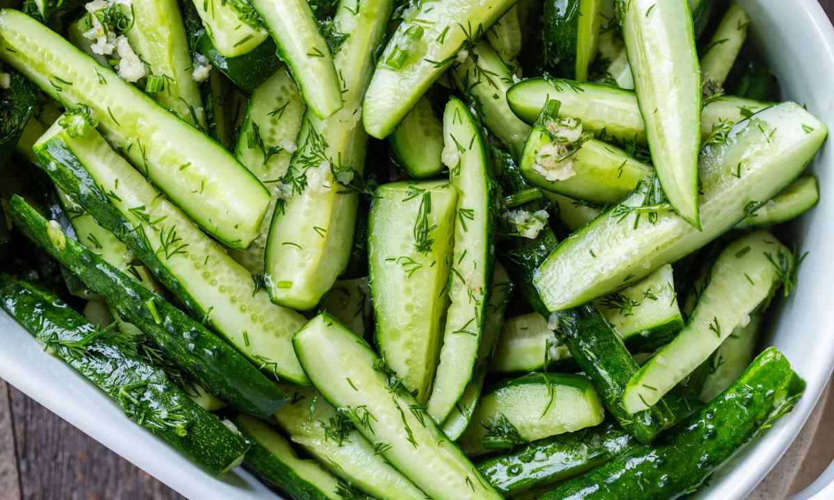How to make hotbed for cucumbers