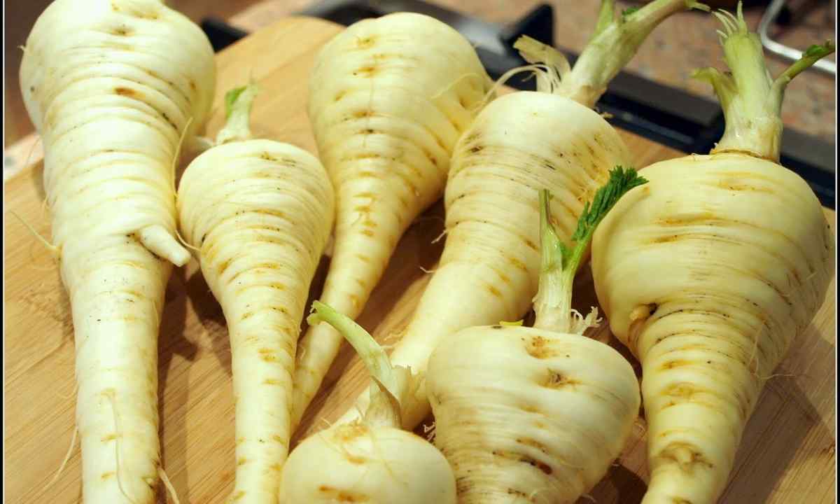 How to grow up parsnip