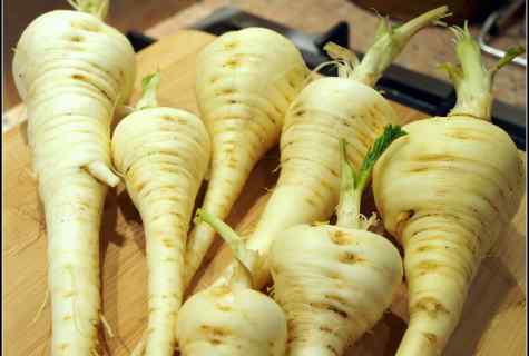 How to grow up parsnip