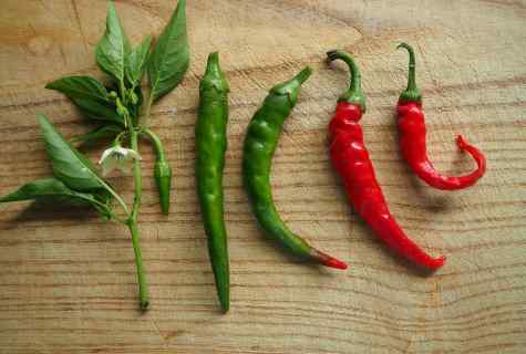 How to grow up pepper