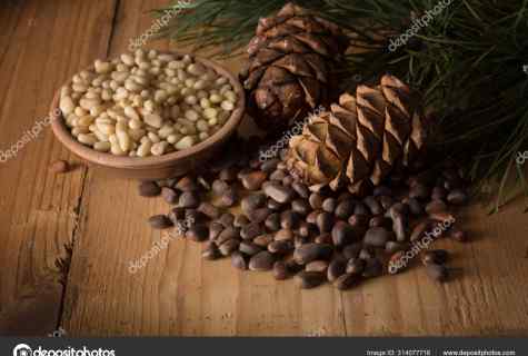 How to grow up cedar from nut