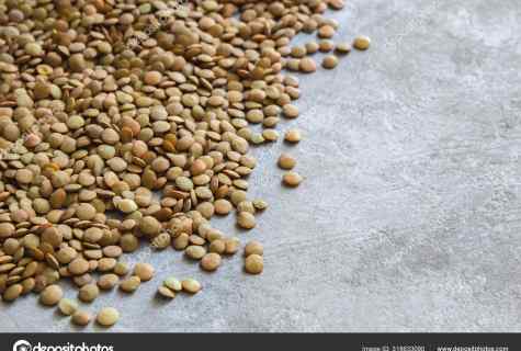 How to grow up lentil