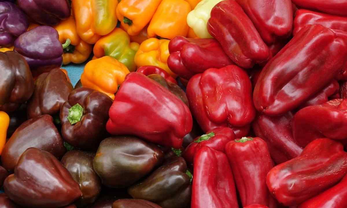 How to land sweet pepper in soil