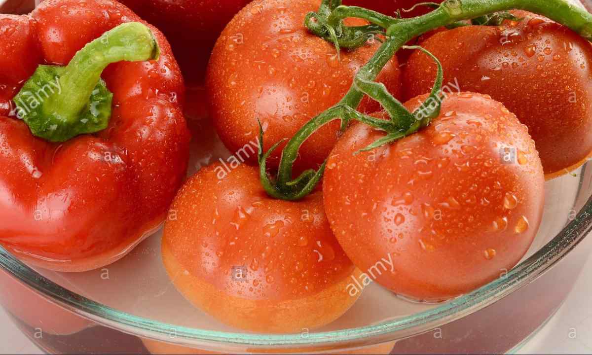 How to water pepper and tomatoes