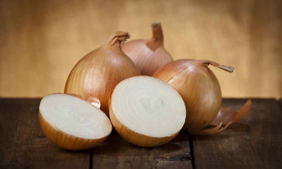 How to get rid of onions fly
