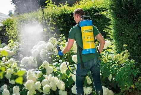 How to choose the garden sprayer