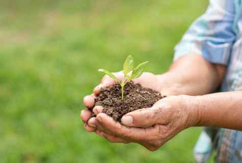 How to fertilize the earth