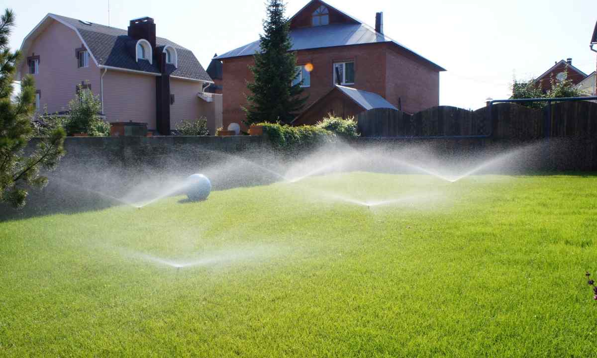 Automatic watering: as works, advantages, installation