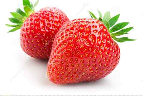 How to pollinate strawberry