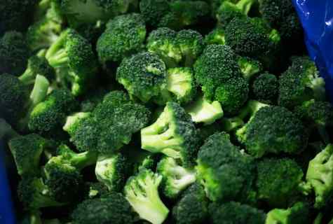Features of cultivation of broccoli