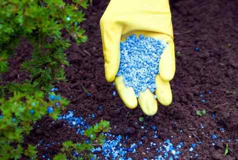 How to introduce mineral fertilizers
