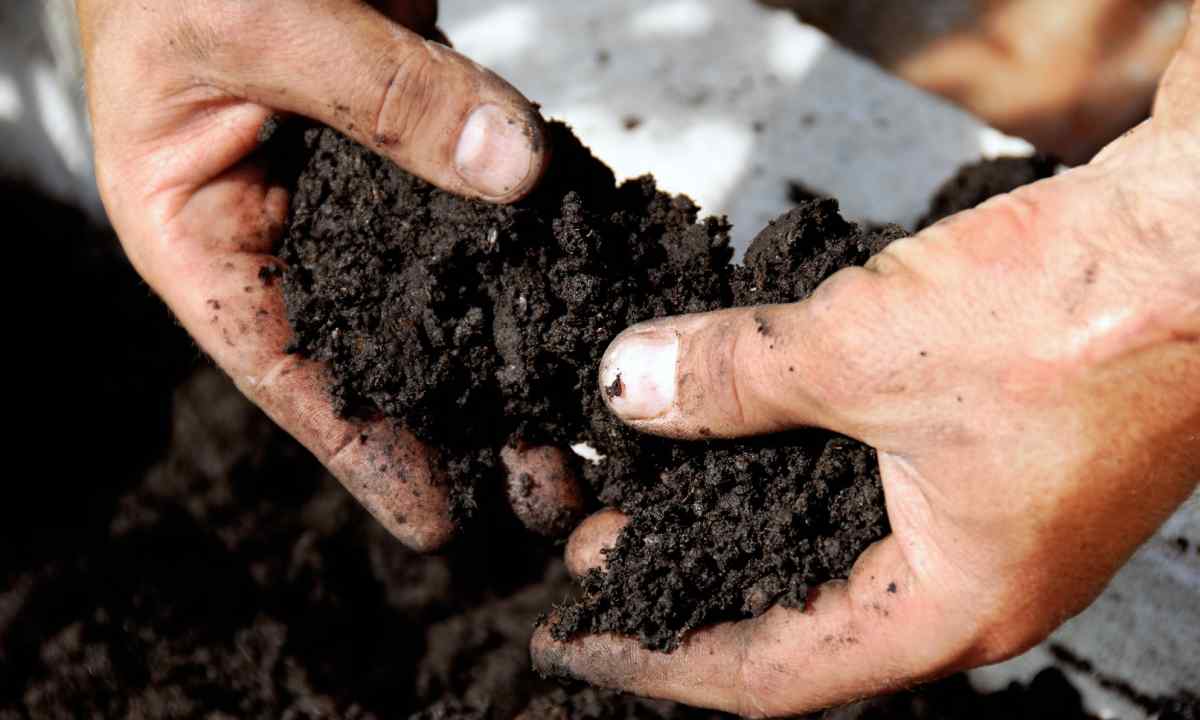 Top-12 the best additives for soil