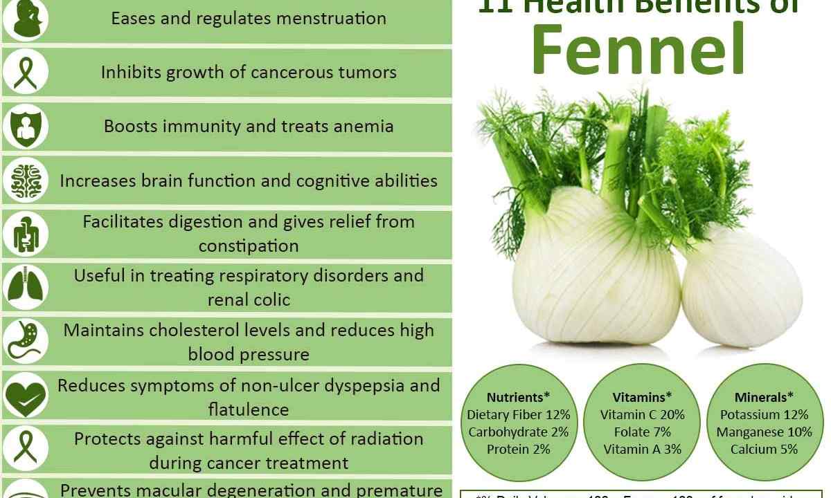 As it is correct to grow up sectional grade of fennel ""Alligator"