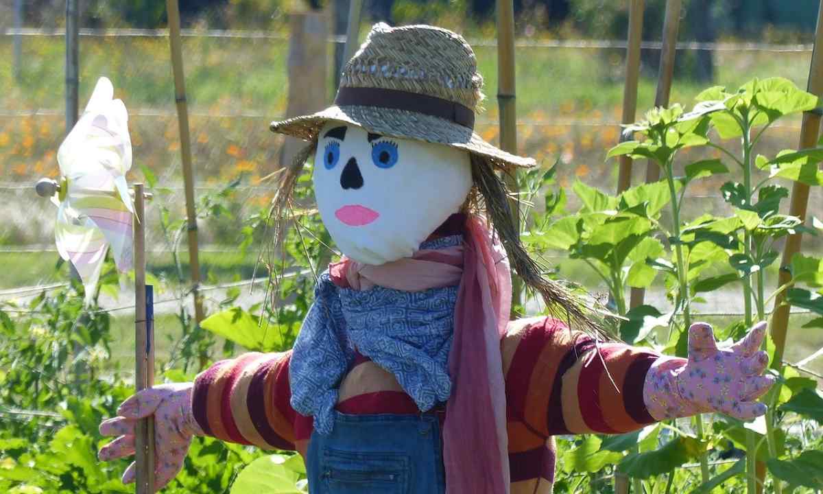 How to make garden scarecrow with own hands