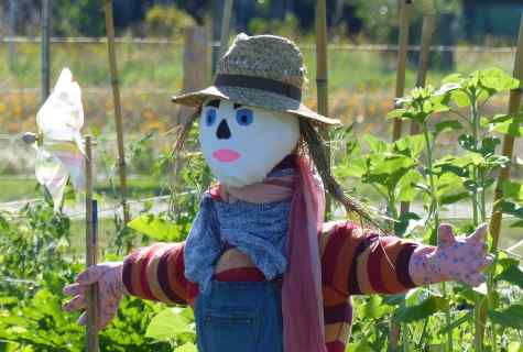 How to make garden scarecrow with own hands