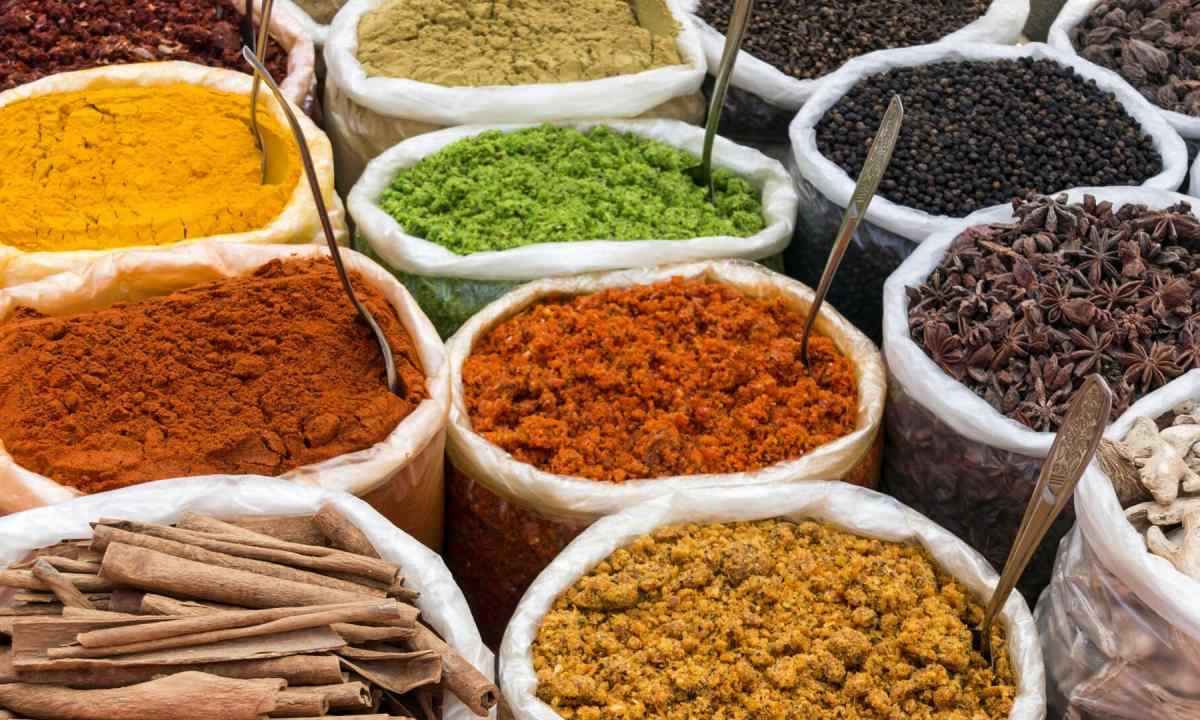 Spicy herbs: application and features of cultivation