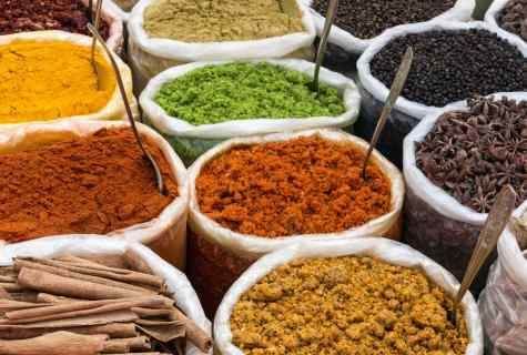 Spicy herbs: application and features of cultivation