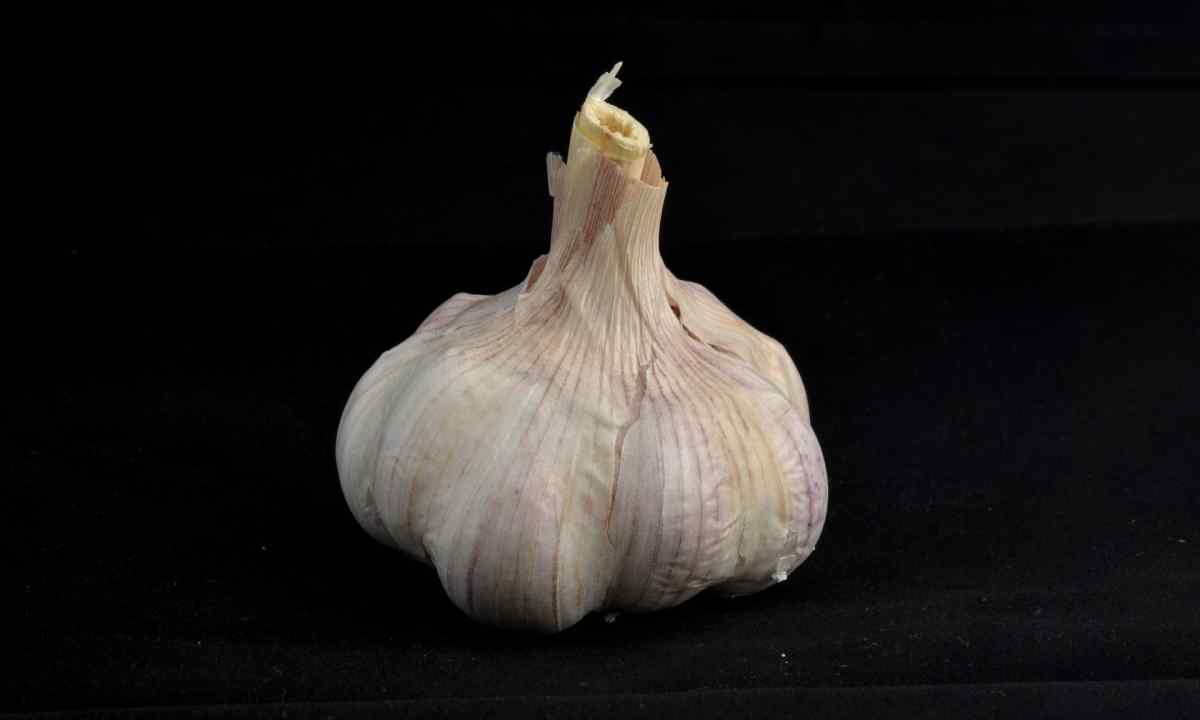 What to do if garlic on bed turns yellow