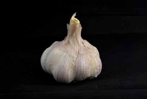 What to do if garlic on bed turns yellow