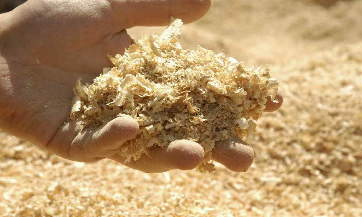 How to use pine sawdust as fertilizers